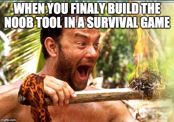 Castaway Fire | WHEN YOU FINALY BUILD THE NOOB TOOL IN A SURVIVAL GAME | image tagged in memes,castaway fire | made w/ Imgflip meme maker