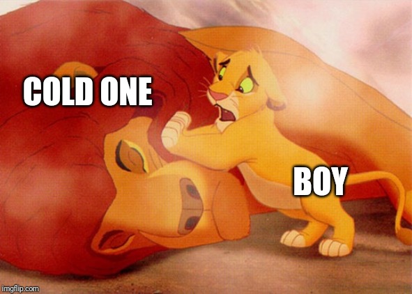 Mufasa Death | BOY COLD ONE | image tagged in mufasa death | made w/ Imgflip meme maker