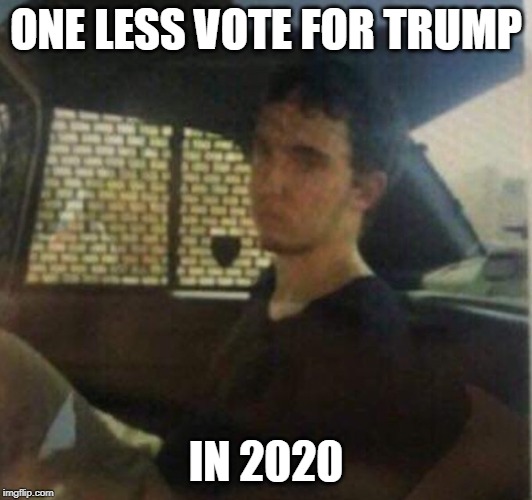 Patrick Crusius | ONE LESS VOTE FOR TRUMP; IN 2020 | image tagged in donald trump,terrorism,right-wing terrorism,4chan,terrorist,conservatives | made w/ Imgflip meme maker