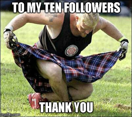 Bow | TO MY TEN FOLLOWERS THANK YOU | image tagged in bow | made w/ Imgflip meme maker