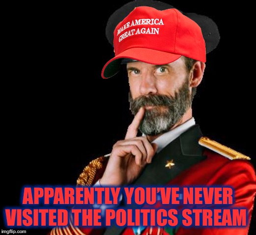 captain obvious | APPARENTLY YOU’VE NEVER VISITED THE POLITICS STREAM | image tagged in captain obvious | made w/ Imgflip meme maker
