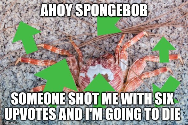 Ahoy Spongebob | AHOY SPONGEBOB SOMEONE SHOT ME WITH SIX UPVOTES AND I'M GOING TO DIE | image tagged in ahoy spongebob | made w/ Imgflip meme maker