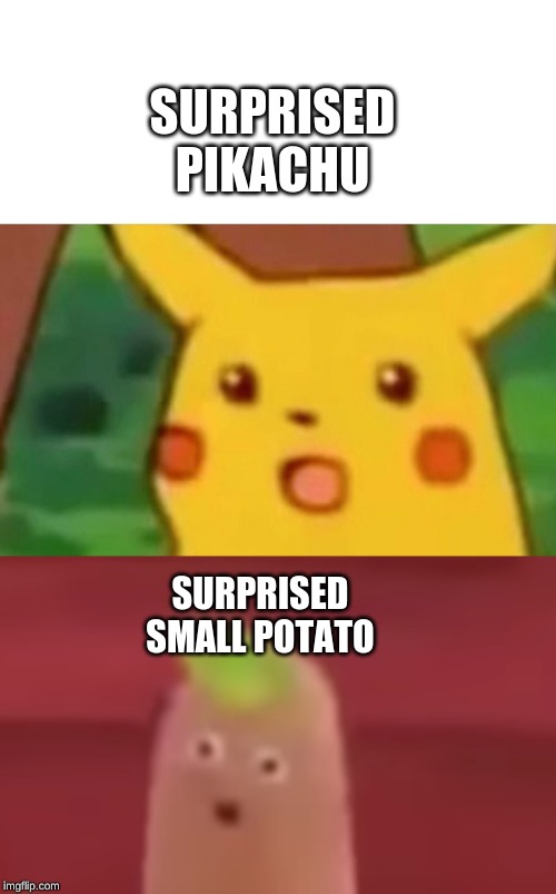 SURPRISED PIKACHU; SURPRISED SMALL POTATO | image tagged in memes,surprised pikachu | made w/ Imgflip meme maker