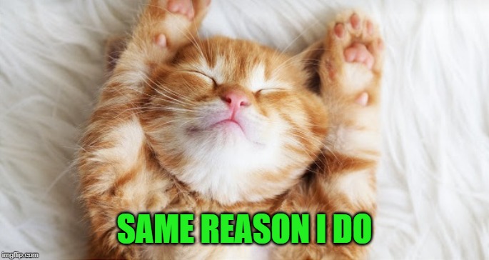 sleeping kitten | SAME REASON I DO | image tagged in sleeping kitten | made w/ Imgflip meme maker