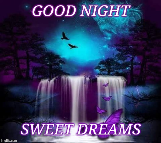 Good night | GOOD NIGHT; SWEET DREAMS | image tagged in good night | made w/ Imgflip meme maker
