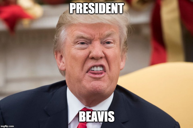 PRESIDENT; BEAVIS | image tagged in donald trump,beavis and butthead | made w/ Imgflip meme maker