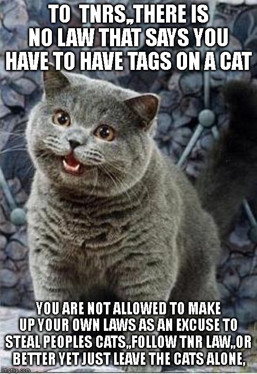 I can has cheezburger cat | TO  TNRS,,THERE IS NO LAW THAT SAYS YOU HAVE TO HAVE TAGS ON A CAT; YOU ARE NOT ALLOWED TO MAKE UP YOUR OWN LAWS AS AN EXCUSE TO STEAL PEOPLES CATS,,FOLLOW TNR LAW,,OR BETTER YET JUST LEAVE THE CATS ALONE, | image tagged in i can has cheezburger cat | made w/ Imgflip meme maker