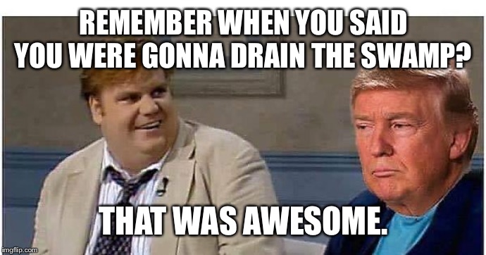 That was awesome Trump (AN AN0NYM0US TEMPLATE) | REMEMBER WHEN YOU SAID YOU WERE GONNA DRAIN THE SWAMP? THAT WAS AWESOME. | image tagged in that was awesome trump | made w/ Imgflip meme maker