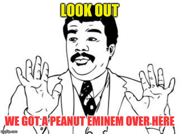 watch out  | LOOK OUT WE GOT A PEANUT EMINEM OVER HERE | image tagged in watch out | made w/ Imgflip meme maker