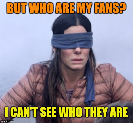 birdbox | BUT WHO ARE MY FANS? I CAN’T SEE WHO THEY ARE | image tagged in birdbox | made w/ Imgflip meme maker