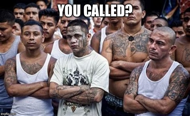 MS13 Family Pic | YOU CALLED? | image tagged in ms13 family pic | made w/ Imgflip meme maker