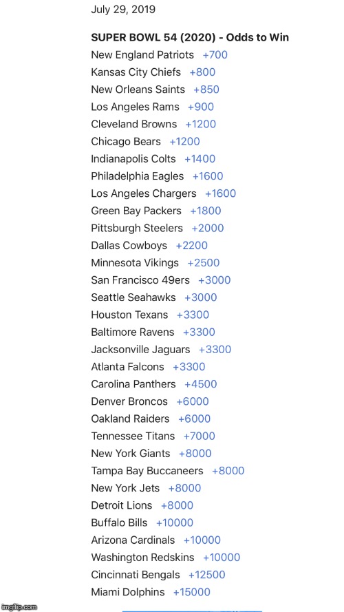 2020 NFL odds to win it all | image tagged in nfl football,odds for 2020 bowl | made w/ Imgflip meme maker