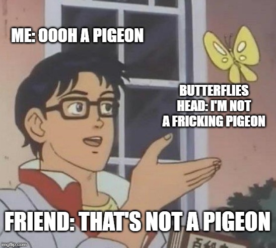 Oh A Pigeon! | ME: OOOH A PIGEON; BUTTERFLIES HEAD: I'M NOT A FRICKING PIGEON; FRIEND: THAT'S NOT A PIGEON | image tagged in memes,this is a pigeon | made w/ Imgflip meme maker