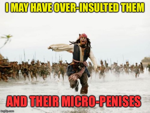 Jack Sparrow Being Chased Meme | I MAY HAVE OVER-INSULTED THEM AND THEIR MICRO-P**ISES | image tagged in memes,jack sparrow being chased | made w/ Imgflip meme maker