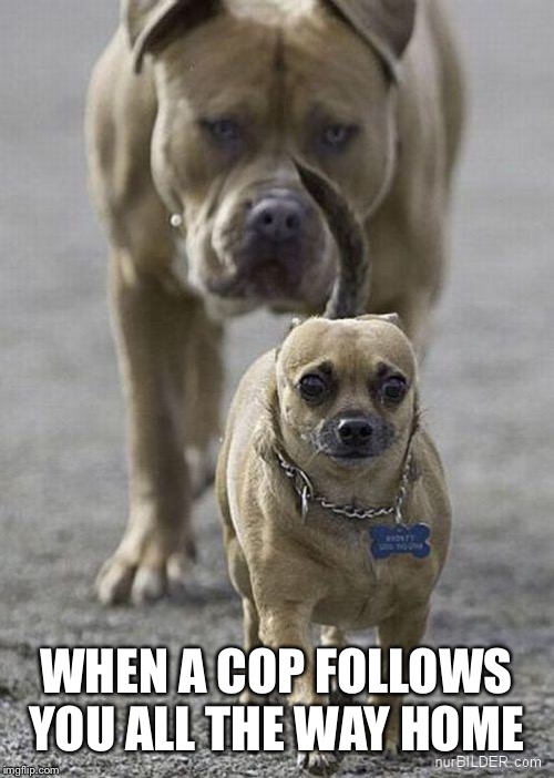 Act normal...act normal...act normal |  WHEN A COP FOLLOWS YOU ALL THE WAY HOME | image tagged in cop,following | made w/ Imgflip meme maker