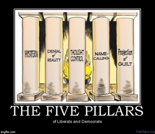 The five pillars of liberalism | image tagged in the five pillars of liberalism | made w/ Imgflip meme maker