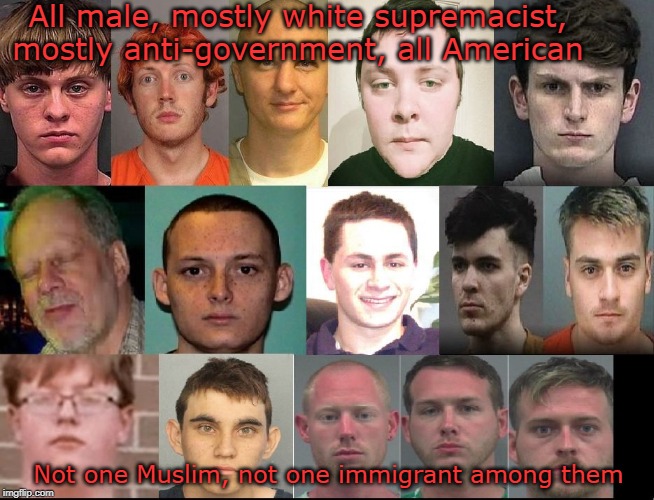 All male, mostly white supremacist, mostly anti-government, all American; Not one Muslim, not one immigrant among them | image tagged in mass shooting | made w/ Imgflip meme maker