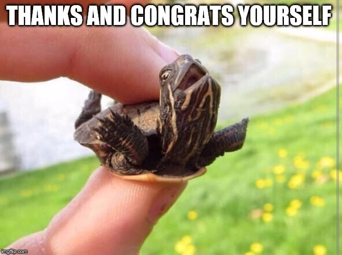 happy turtles | THANKS AND CONGRATS YOURSELF | image tagged in happy turtles | made w/ Imgflip meme maker