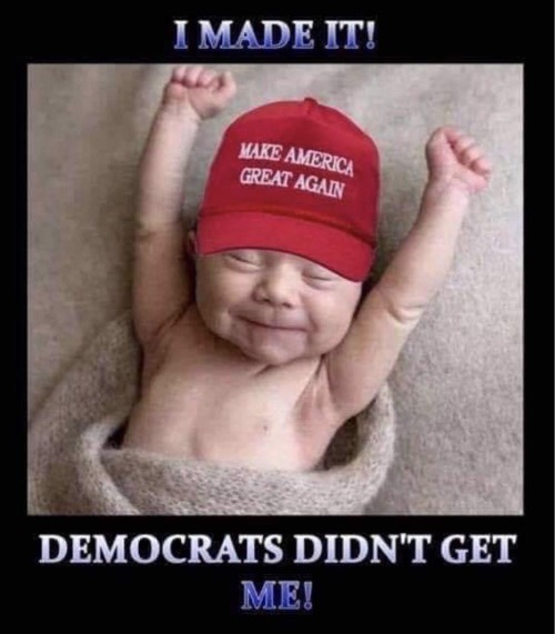 I Made it! The Democrats Didn't Get Me! | image tagged in abortion is murder,prolife,maga,abortion,make america great again,trump 2020 | made w/ Imgflip meme maker