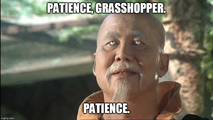 Kung Fu Po | PATIENCE, GRASSHOPPER. PATIENCE. | image tagged in kung fu po | made w/ Imgflip meme maker
