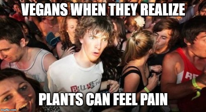 How many plants have to die before you recognize them as living creatures |  VEGANS WHEN THEY REALIZE; PLANTS CAN FEEL PAIN | image tagged in memes,sudden clarity clarence | made w/ Imgflip meme maker