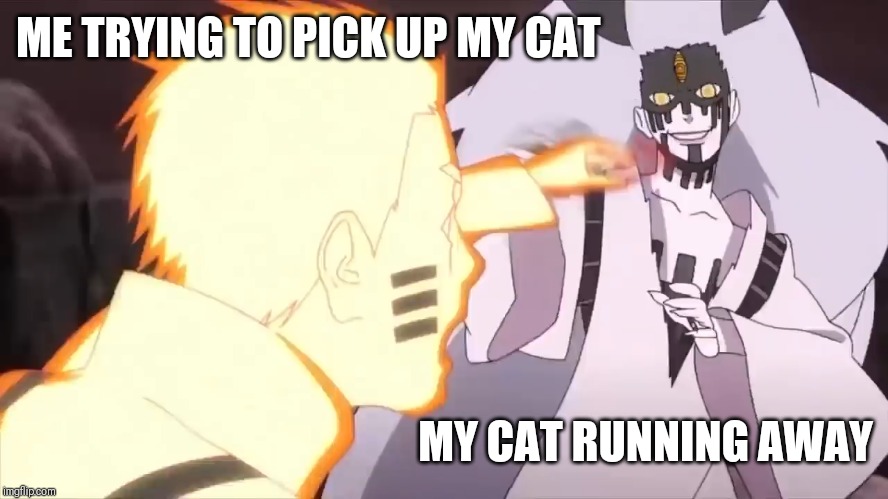 Naruto reach meme | ME TRYING TO PICK UP MY CAT; MY CAT RUNNING AWAY | image tagged in anime,cats,fun | made w/ Imgflip meme maker
