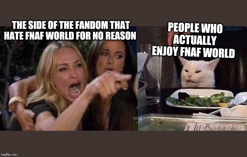 woman yelling at cat | PEOPLE WHO ACTUALLY ENJOY FNAF WORLD; THE SIDE OF THE FANDOM THAT HATE FNAF WORLD FOR NO REASON | image tagged in woman yelling at cat | made w/ Imgflip meme maker