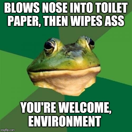 Foul Bachelor Frog Meme | BLOWS NOSE INTO TOILET PAPER, THEN WIPES ASS; YOU'RE WELCOME, ENVIRONMENT | image tagged in memes,foul bachelor frog,AdviceAnimals | made w/ Imgflip meme maker