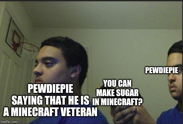 Trust Nobody, Not Even Yourself | PEWDIEPIE; YOU CAN MAKE SUGAR IN MINECRAFT? PEWDIEPIE SAYING THAT HE IS A MINECRAFT VETERAN | image tagged in trust nobody not even yourself | made w/ Imgflip meme maker