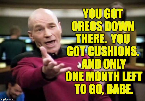 Picard Wtf Meme | YOU GOT OREOS DOWN THERE.  YOU GOT CUSHIONS. AND ONLY ONE MONTH LEFT TO GO, BABE. | image tagged in memes,picard wtf | made w/ Imgflip meme maker