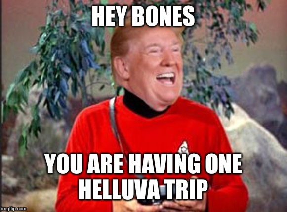 Trump Red-Shirt Space Force | HEY BONES YOU ARE HAVING ONE
HELLUVA TRIP | image tagged in trump red-shirt space force | made w/ Imgflip meme maker