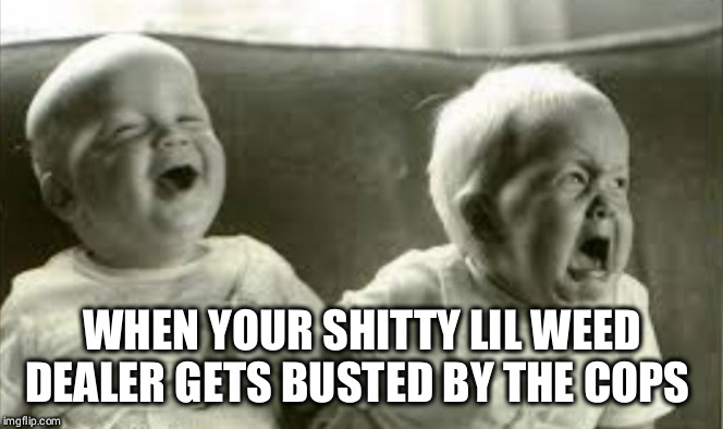 Laughing and crying at the same time | WHEN YOUR SHITTY LIL WEED DEALER GETS BUSTED BY THE COPS | image tagged in laughing and crying at the same time | made w/ Imgflip meme maker