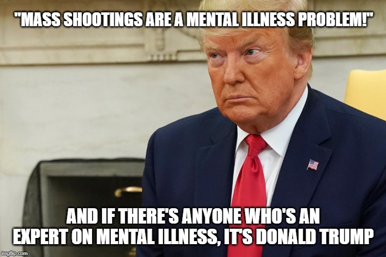 "MASS SHOOTINGS ARE A MENTAL ILLNESS PROBLEM!"; AND IF THERE'S ANYONE WHO'S AN EXPERT ON MENTAL ILLNESS, IT'S DONALD TRUMP | image tagged in donald trump | made w/ Imgflip meme maker