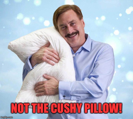 My Pillow Guy | NOT THE CUSHY PILLOW! | image tagged in my pillow guy | made w/ Imgflip meme maker