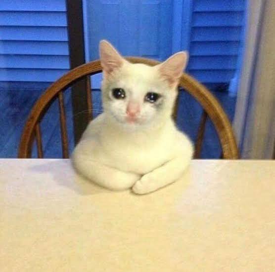 High Quality Crying cat on table Blank Meme Template