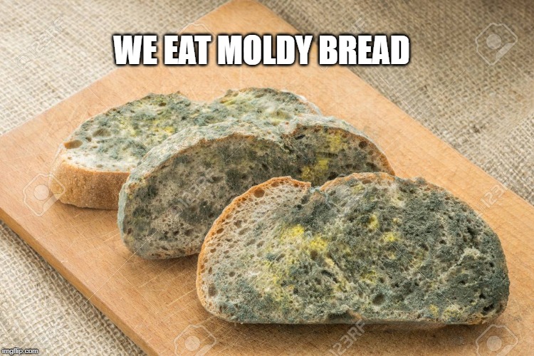 WE EAT MOLDY BREAD | made w/ Imgflip meme maker