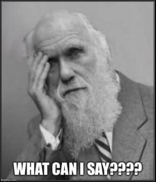 darwin facepalm | WHAT CAN I SAY???? | image tagged in darwin facepalm | made w/ Imgflip meme maker