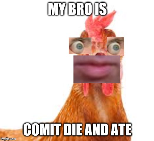 MY BRO IS COMIT DIE AND ATE | image tagged in chikens | made w/ Imgflip meme maker