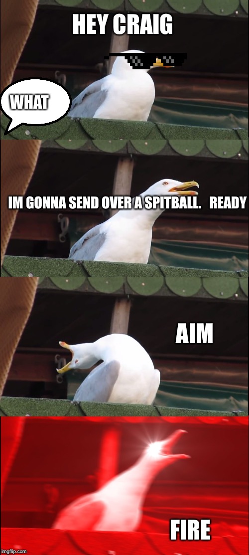 Inhaling Seagull | HEY CRAIG; WHAT; IM GONNA SEND OVER A SPITBALL.   READY; AIM; FIRE | image tagged in memes,inhaling seagull | made w/ Imgflip meme maker