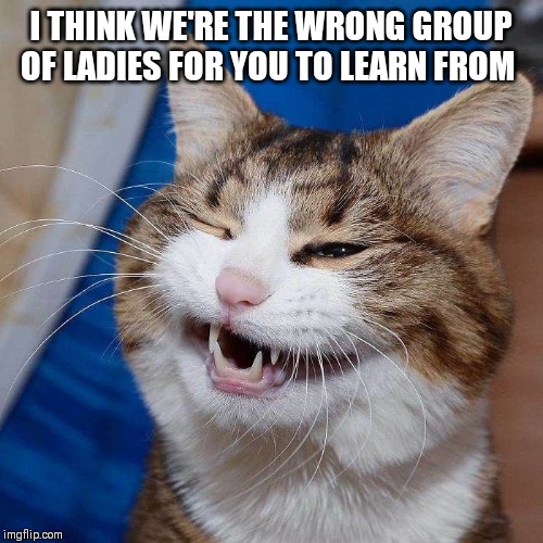 I THINK WE'RE THE WRONG GROUP OF LADIES FOR YOU TO LEARN FROM | made w/ Imgflip meme maker