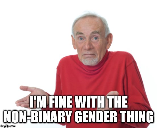 Guess I'll die  | I'M FINE WITH THE NON-BINARY GENDER THING | image tagged in guess i'll die | made w/ Imgflip meme maker