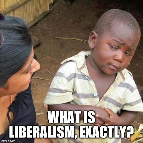 Third World Skeptical Kid Meme | WHAT IS LIBERALISM, EXACTLY? | image tagged in memes,third world skeptical kid | made w/ Imgflip meme maker
