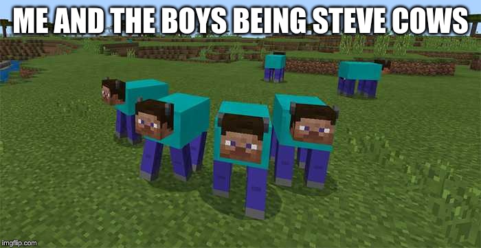 me and the boys | ME AND THE BOYS BEING STEVE COWS | image tagged in me and the boys | made w/ Imgflip meme maker