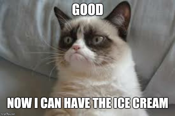 Grumpy cat | GOOD NOW I CAN HAVE THE ICE CREAM | image tagged in grumpy cat | made w/ Imgflip meme maker