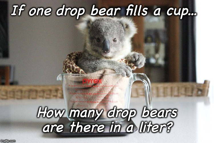 Metric Conversion | If one drop bear fills a cup... How many drop bears are there in a liter? | image tagged in koala,metric | made w/ Imgflip meme maker