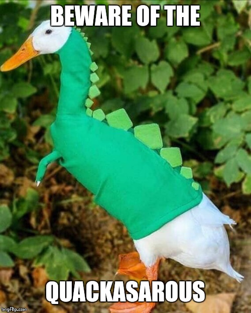 I BET HE HATES THAT | BEWARE OF THE; QUACKASAROUS | image tagged in duck,ducks,costume | made w/ Imgflip meme maker