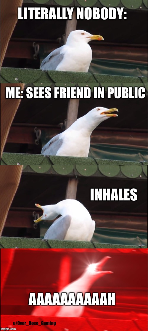 Inhaling Seagull Meme | LITERALLY NOBODY:; ME: SEES FRIEND IN PUBLIC; INHALES; AAAAAAAAAAH; u/Over_Dose_Gaming | image tagged in memes,inhaling seagull | made w/ Imgflip meme maker