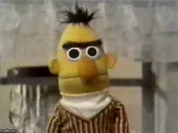 Wtf Bert | image tagged in wtf bert | made w/ Imgflip meme maker
