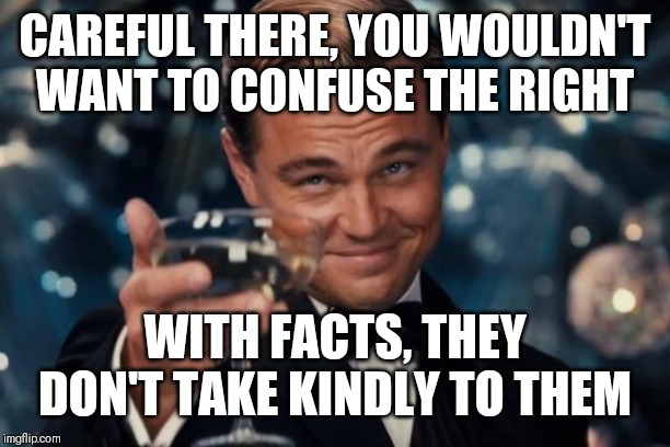 Leonardo Dicaprio Cheers Meme | CAREFUL THERE, YOU WOULDN'T WANT TO CONFUSE THE RIGHT WITH FACTS, THEY DON'T TAKE KINDLY TO THEM | image tagged in memes,leonardo dicaprio cheers | made w/ Imgflip meme maker
