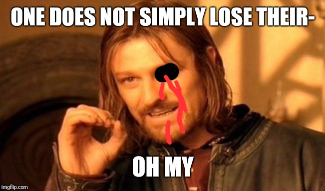 One Does Not Simply Meme | ONE DOES NOT SIMPLY LOSE THEIR- OH MY | image tagged in memes,one does not simply | made w/ Imgflip meme maker